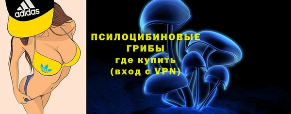 крисы Бикин