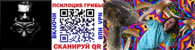 Галлюциногенные грибы Psilocybe  сколько стоит  Якутск 
