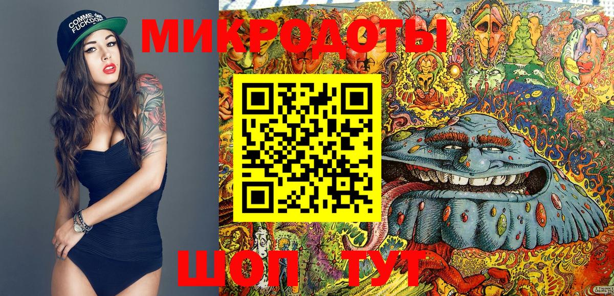 Якутск  Псилоцибиновые грибы Psilocybe  Вход с VPN 